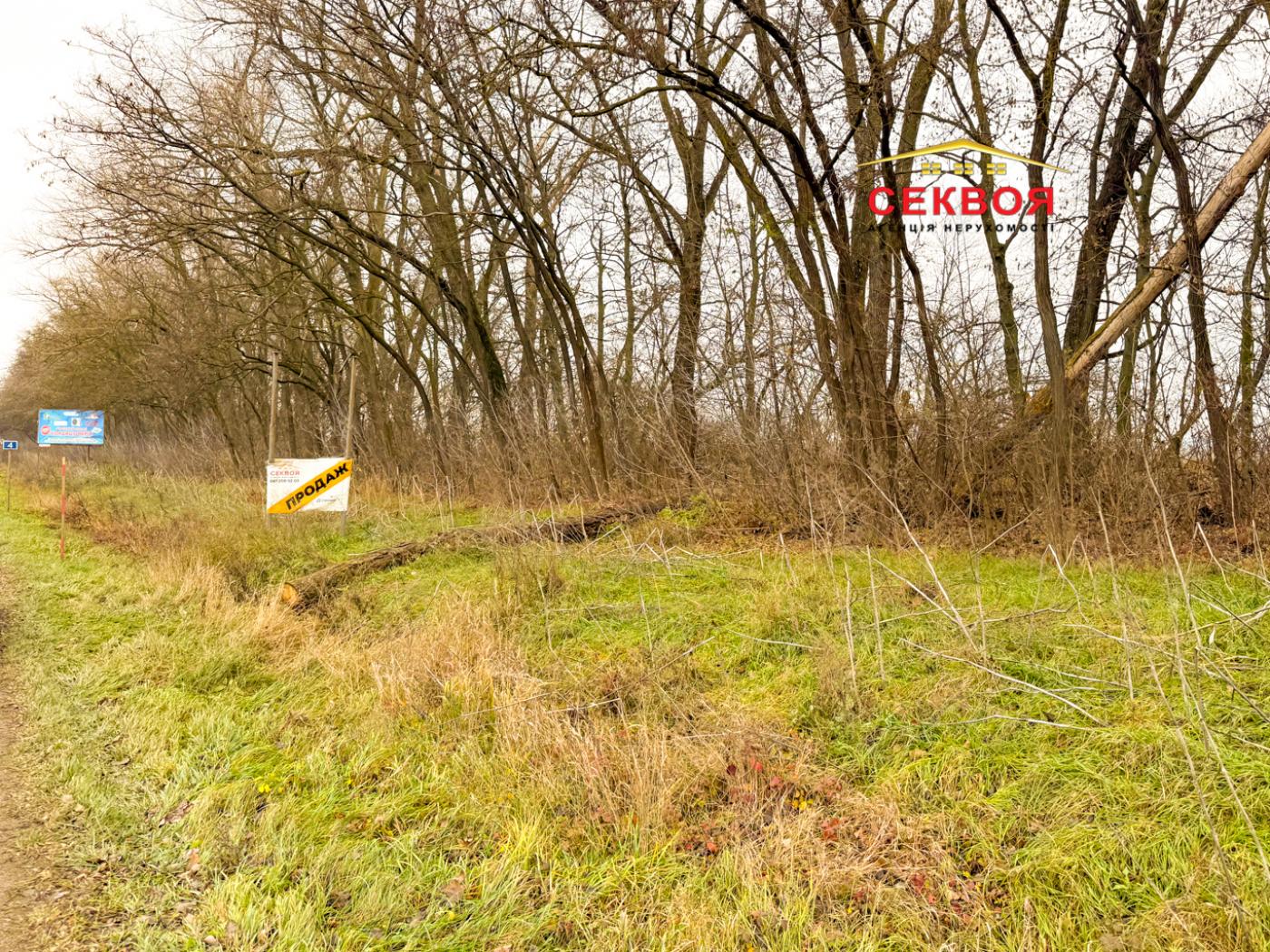 Продаж Земля комерційного призначення, Кутківці, Тернопіль — фото 3